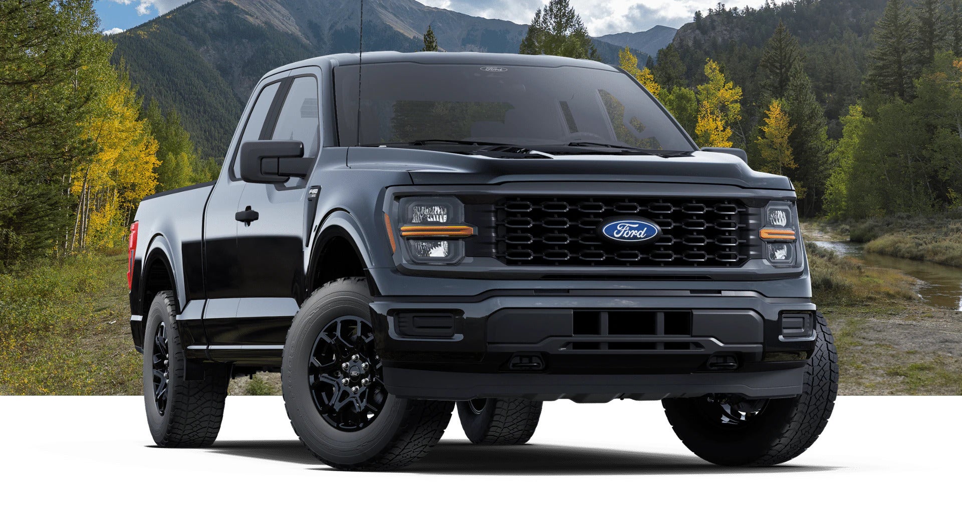 2025 Ford F-150 STX Trim Level